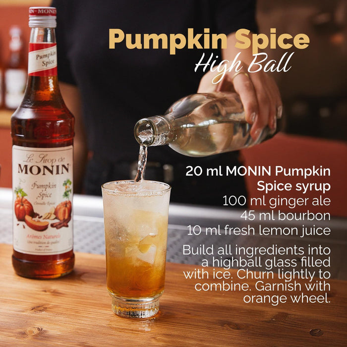 2X1L MONIN Premium Pumpkin Spice Syrup for Coffees, Frappes and Cocktails. Vegan-Friendly BBE 09-25 RRP £25 Sale price £11.99