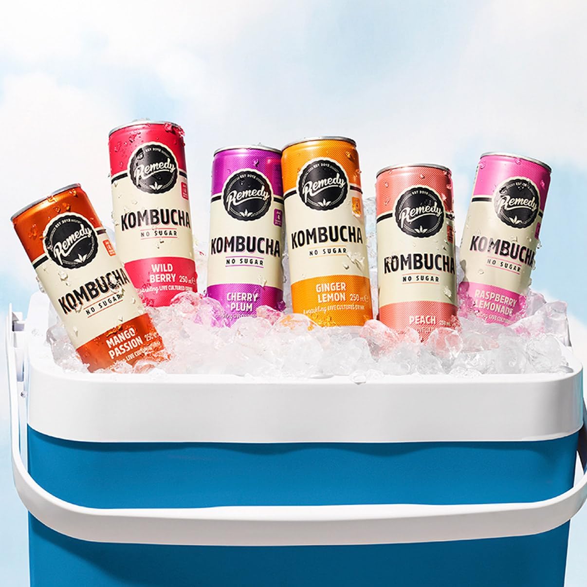 24 x 250ml Remedy Kombucha Tea - Rainbow Mixed Pack - Sparkling Live  BBE 05-10-25 RRP £50 Sale Price £14.99