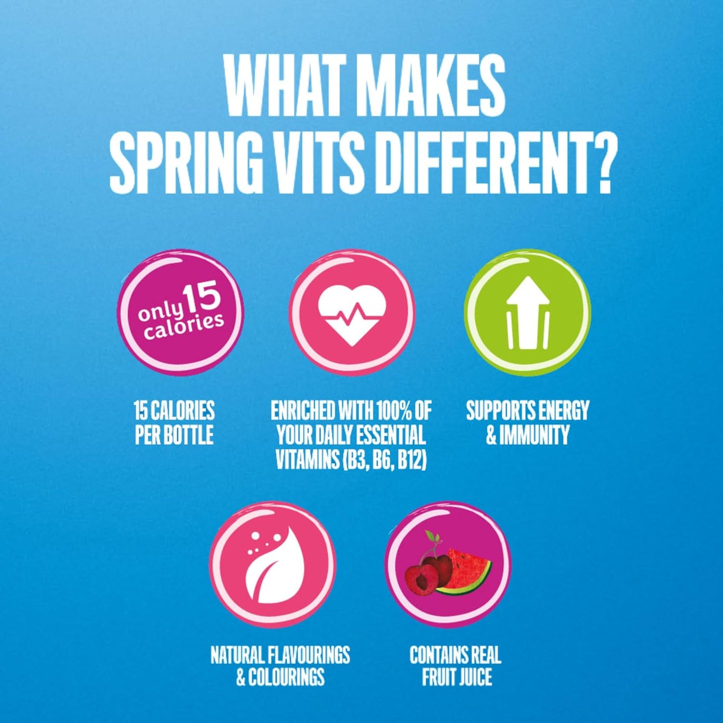 Rubicon Spring Vits Black Cherry Pomegranate Still Vitamin Water (12x500ml)