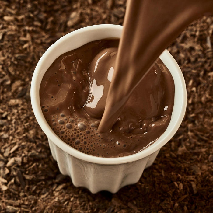 Hotel Chocolat Hazelnut Praline Hot Chocolate Sachets - Luxury Chocolate Flakes - Pack of 20 Single-Serve Sachets, 700g - Made To Pair With The Velvetiser - Serve Hot or Iced  BBE 08-25 RRP £29.99 SALE PRICE £14.99