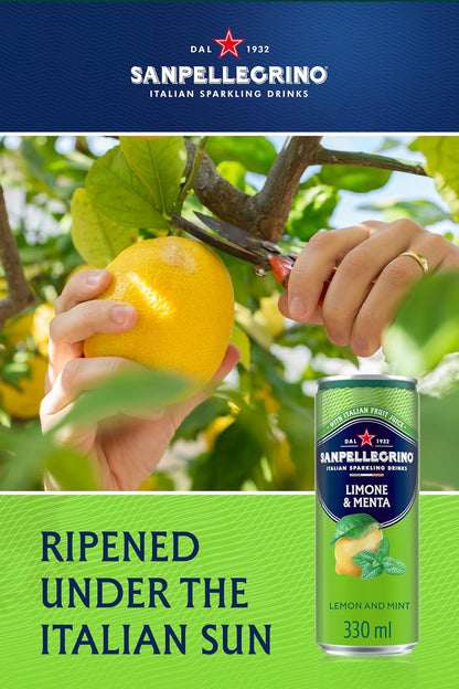 24 x 330ml San Pellegrino Italian Tastefully Light Sparkling Lemon & Mint Canned Soft Drink  74 kCals per Can  BBE 02-26 RRP £25 Sale price £9.99 free shipping