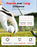 REDTIGER Golf Rangefinder with Slope On/Off, 1200 Yards, 7X Magnification, Laser Range Finder for Golf, Flag Pole Lock with Vibration, Rechargeable, Magnetic Suction