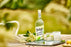 6 x 750ml Belvoir Farm Lighter Sparkling Elderflower - Hand Picked Elderflowers | 30% Less Sugar only 50 Calories | 100% Natural Ingredients | Suitable for Vegetarians & Vegans  BBE 11-26 RRP £19.99 Sale price £7.99