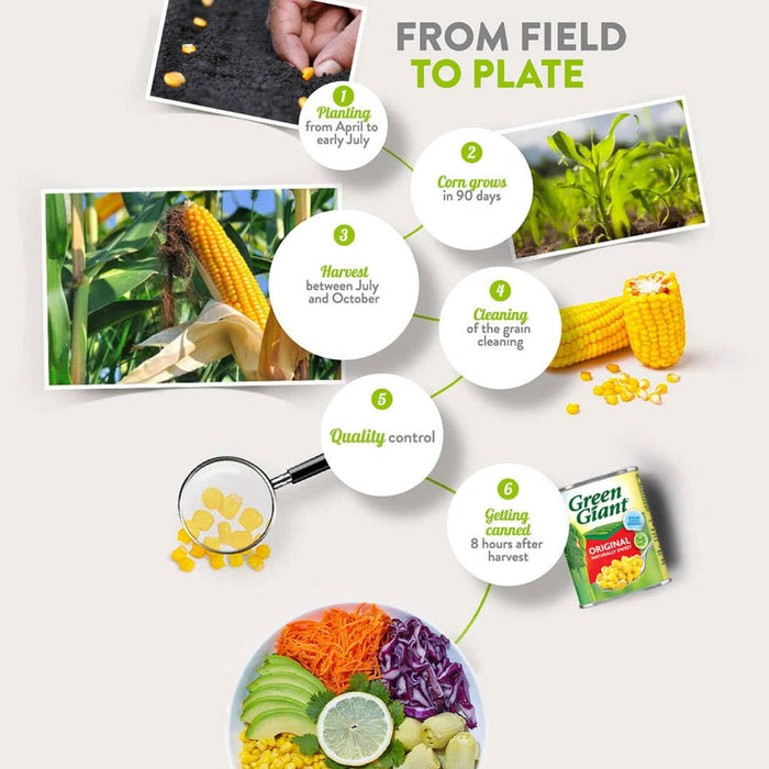 12 X 340g Green Giant Original Sweetcorn BBE 07-2027 RRP £19.99 Sale Price £12.99
