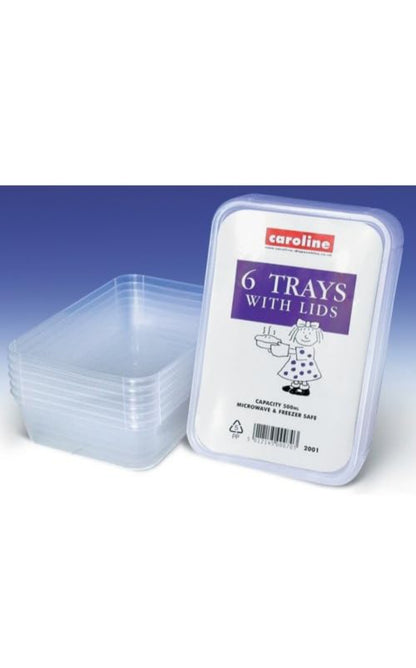 500ml Caroline Plastic Tubs & Lids 16 x 4 = 96 tubs