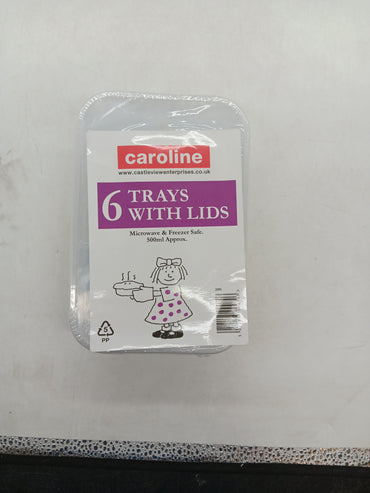 500ml Caroline Plastic Tubs & Lids 16 x 4 = 96 tubs