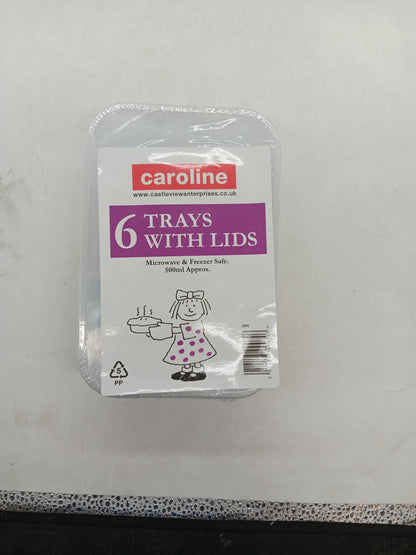 500ml Caroline Plastic Tubs & Lids 16 x 4 = 96 tubs